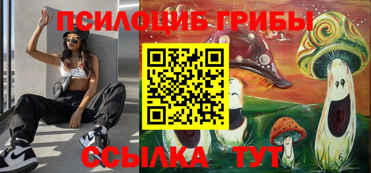 как найти закладки  Псилоцибиновые грибы ЛСД  Галлюциногенные грибы MAGIC MUSHROOMS  Вход с VPN  Брянск 